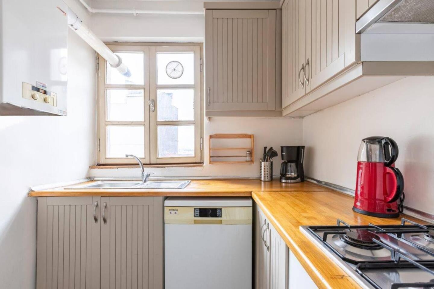 Gorgeous Cozy Bright 1bd Pad! #350